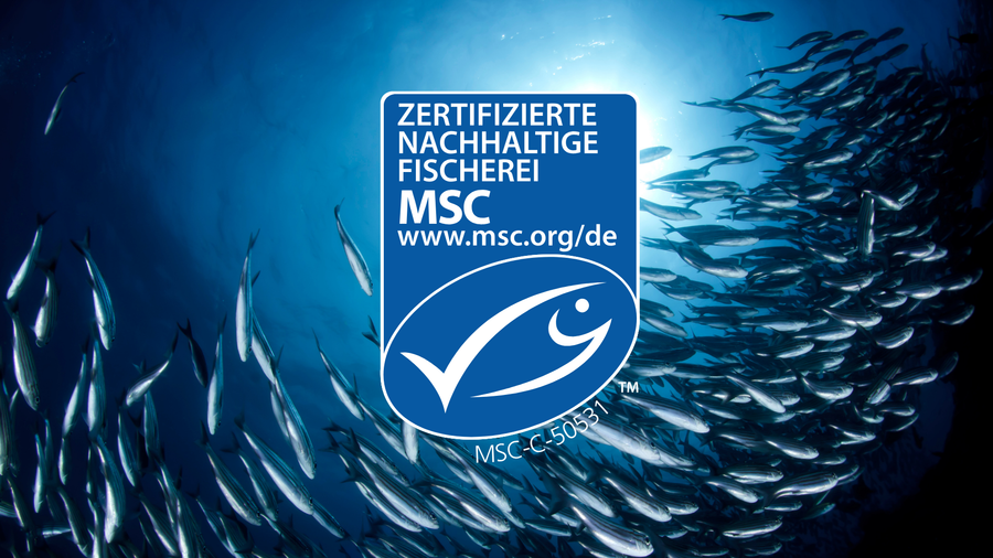 MSC Siegel für nachhaltige Fischerei